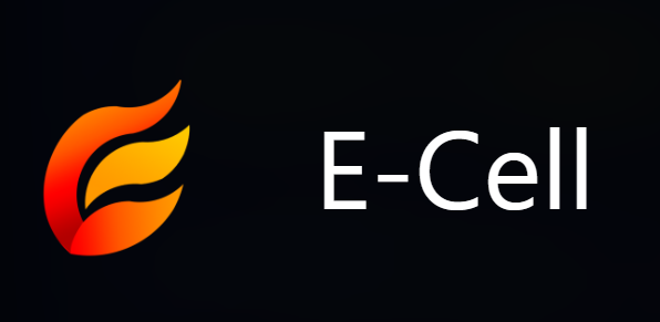 E-Cell DSU
